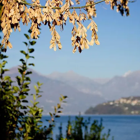 Апартаменты Lakeside Villa Del Pierangelo: Apartment Platanus *