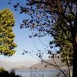 Lakeside Del Pierangelo: Platanus * Cremia