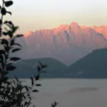 Lakeside Del Pierangelo: Platanus *