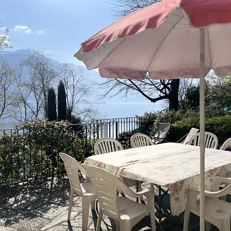 Lakeside Del Pierangelo: Platanus Daire *